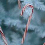 Candy Cane Outdoor Activity